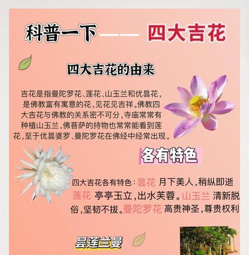 尊贵神秘花卉有哪些？