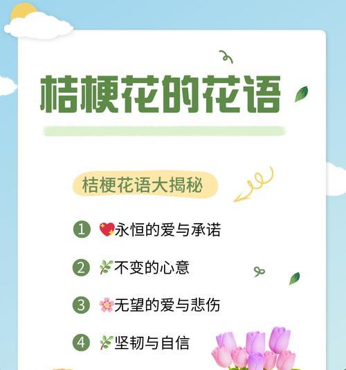 生花的寓意和象征是什么？它们各自代表了什么意义？