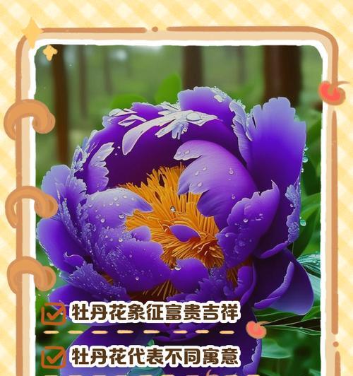 生花的寓意和象征是什么？它们各自代表了什么意义？