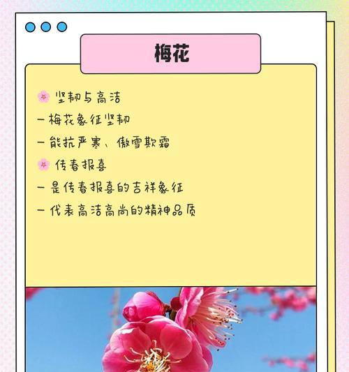 哪种花卉象征害怕？它的象征意义是什么？