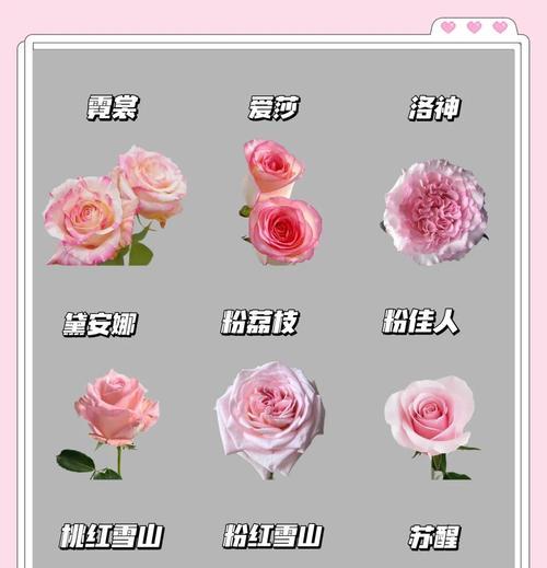 黄色花在财神文化中象征着什么？它们通常代表了什么？
