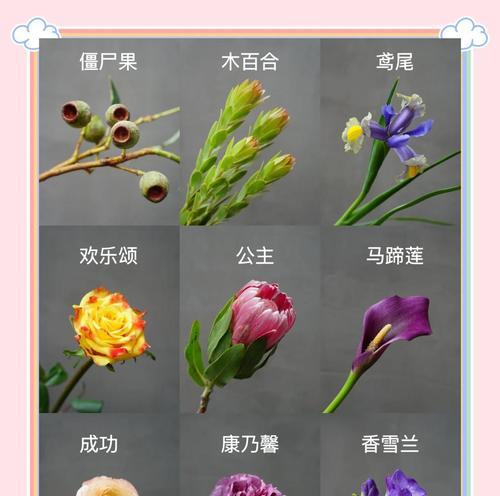 哪些常见花材寓意特别？