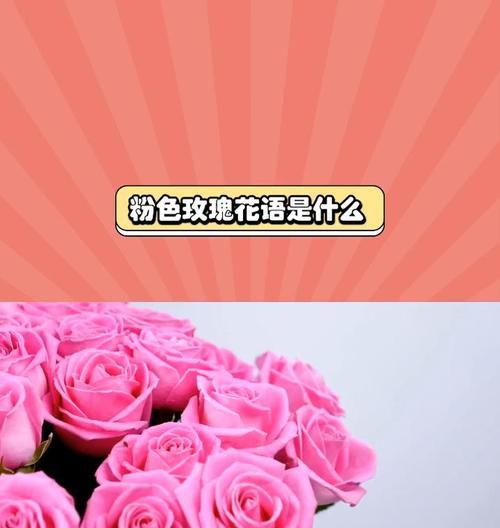 粉色花语代表什么？