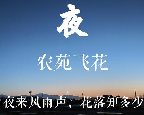 诗词中常用来寓意美好的花有哪些？它们各自代表了什么意义？