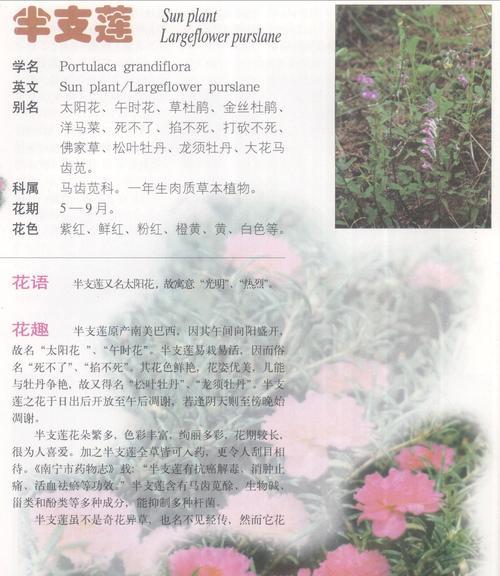 以象征君子的植物为主题的文章——品行高尚的植物之道（传达高尚品质的植物，赋予人类启示）