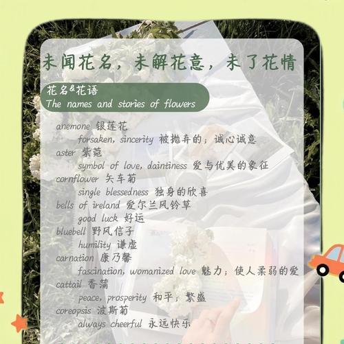 蜀葵花语与象征意义（探寻蜀葵的奇妙寓意与象征）