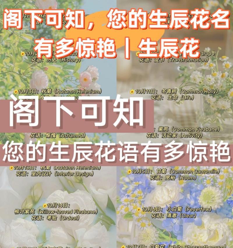 送黄玫瑰的意义与寓意（探寻黄玫瑰的神秘符号与象征意义）
