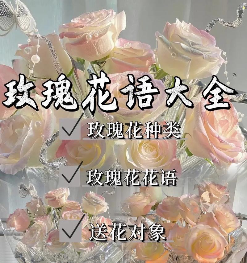 玫瑰花语的深度解读——爱情与感情的表达艺术（探寻玫瑰花语的起源、分类与解读）