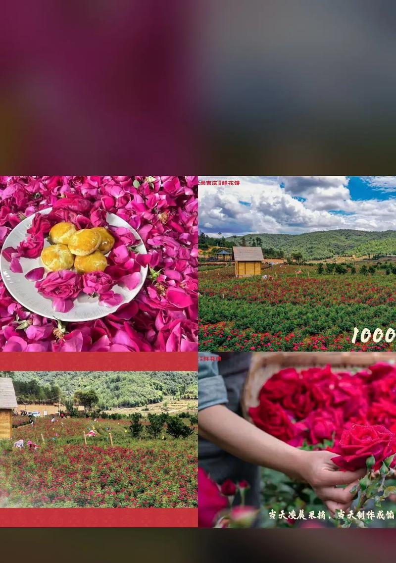 吉庆花语花饼是什么？花饼中的花语有哪些寓意？