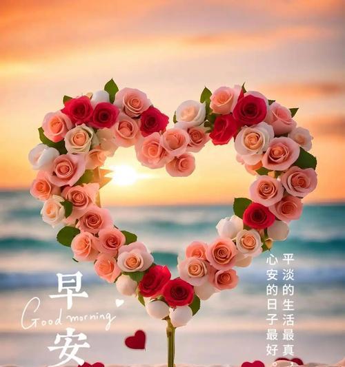 送花表达平安的花语有哪些？如何选择合适的花？