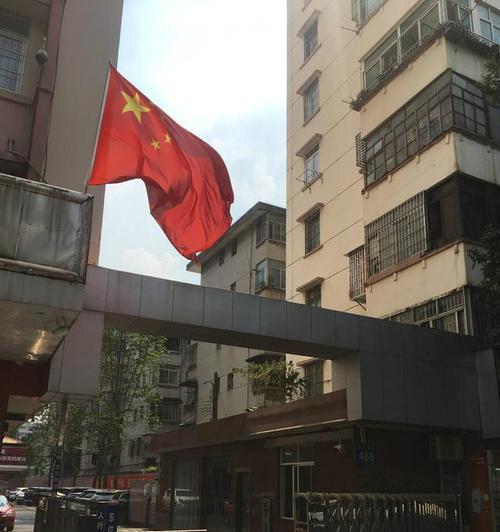 国庆摆放红黄花有何寓意？它们象征着什么？