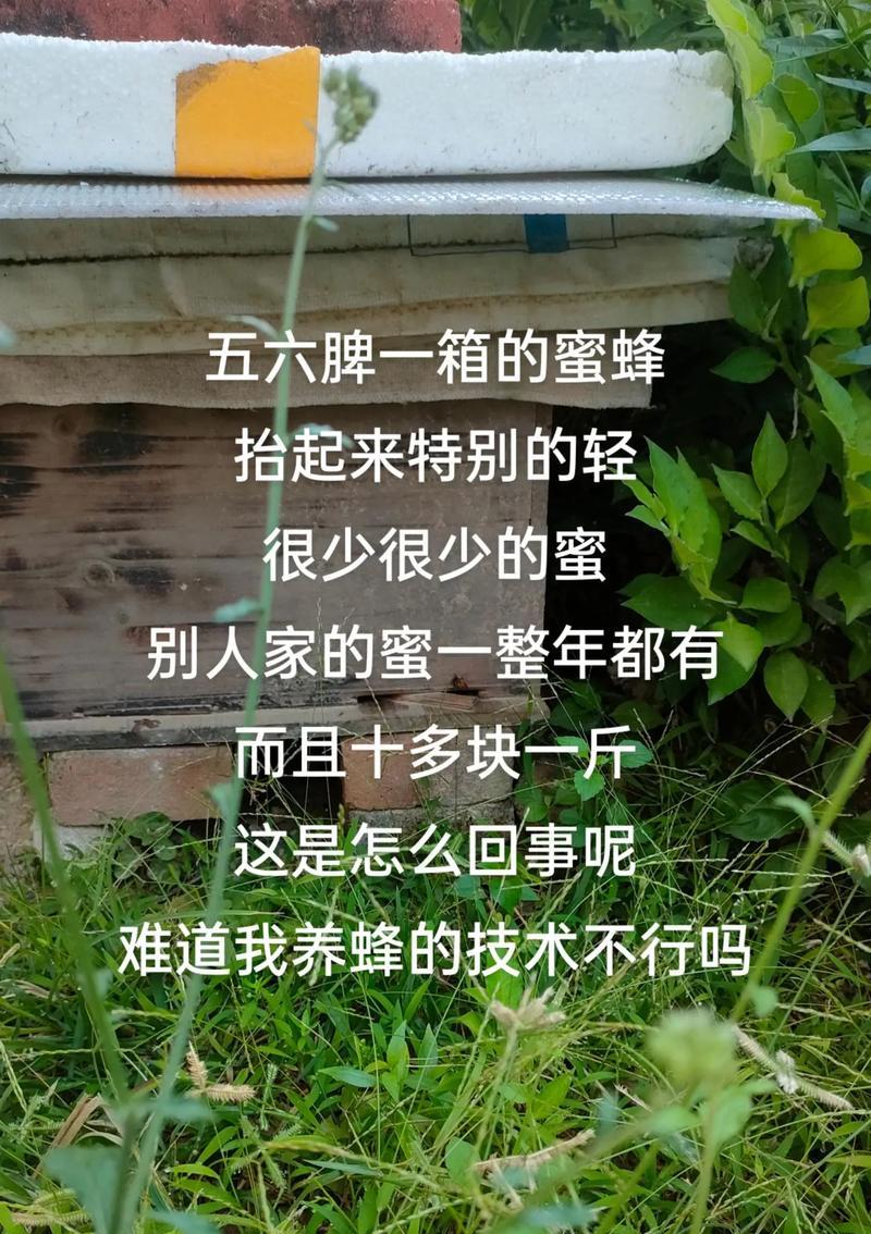 蜂花背后的文化意义是什么？它象征着什么？
