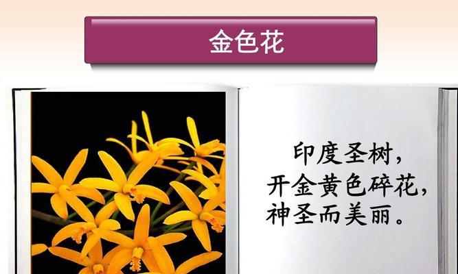 金色花首饰的寓意是什么？金色花卉的象征意义有哪些？