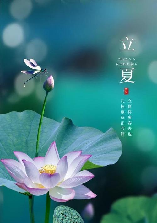 节气与特定花朵的寓意有何联系？