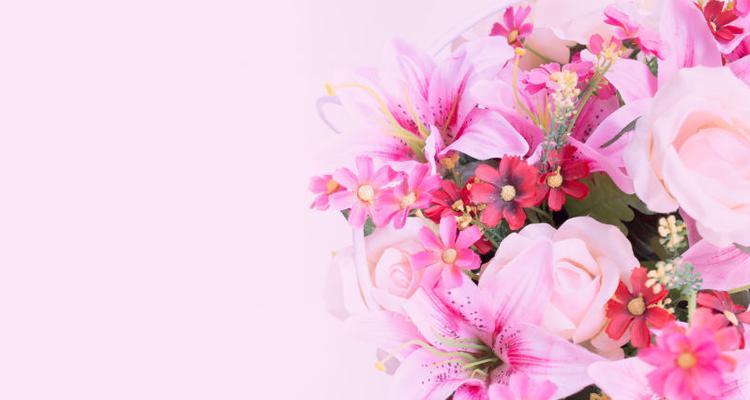 淡粉色的花寓意是什么？淡粉色花卉的象征意义有哪些？