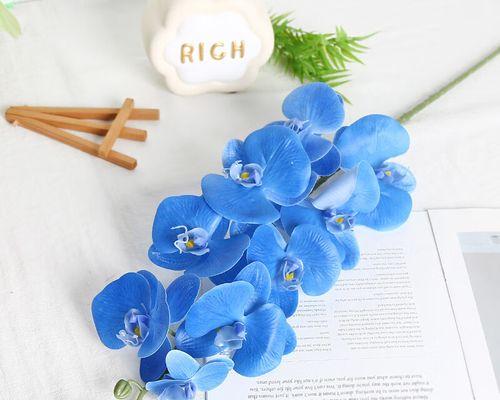 蓝色婚礼用花代表什么？蓝色花在婚礼中的寓意是什么？