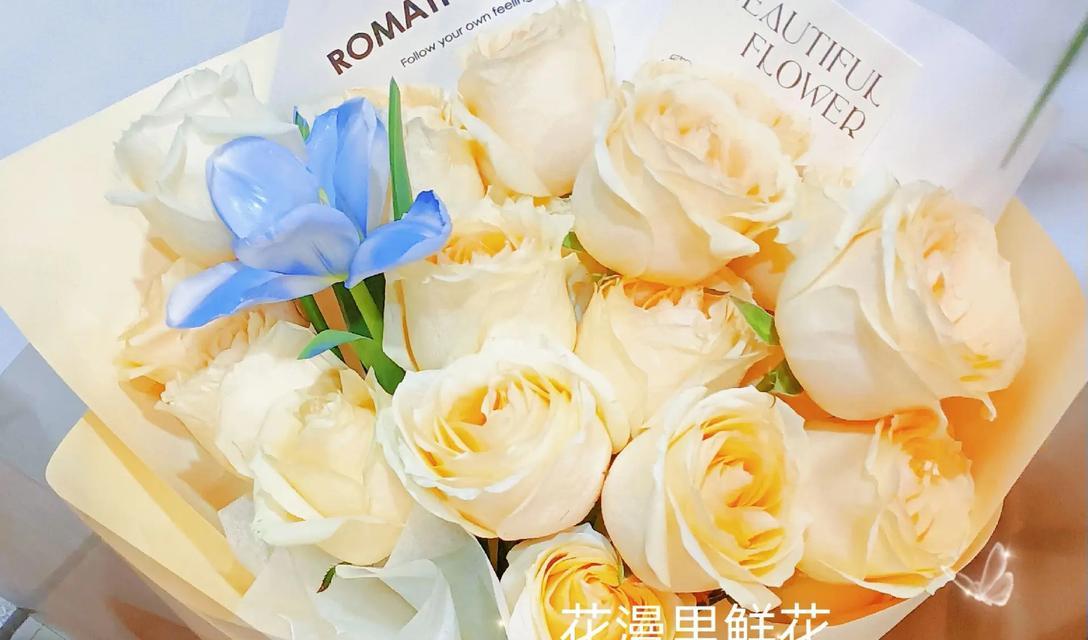 情人节送什么花最合适？花的含义你知道吗？