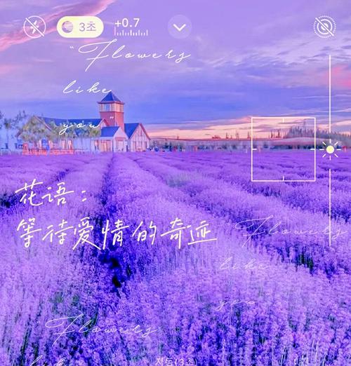 哪种花的花语是爱情？