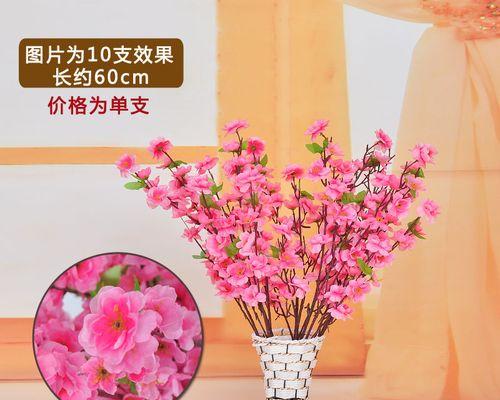 欧洲腊梅粉色代表什么？