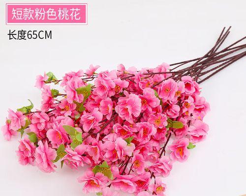 欧洲腊梅粉色代表什么？