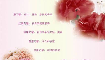 爱情重圆的花语有哪些？它们代表了什么？