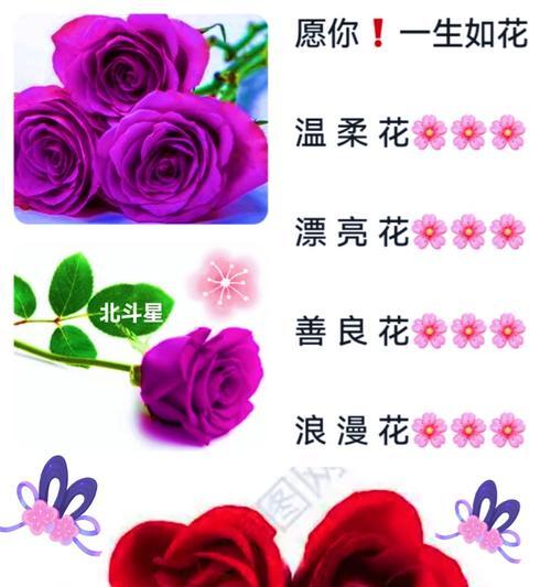 爱情重圆的花语有哪些？它们代表了什么？