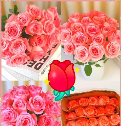 抹粉色的花通常象征着什么？它们在花语中代表什么？