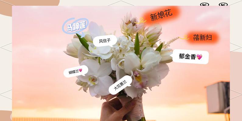 送给父母的手捧花有何特殊寓意？