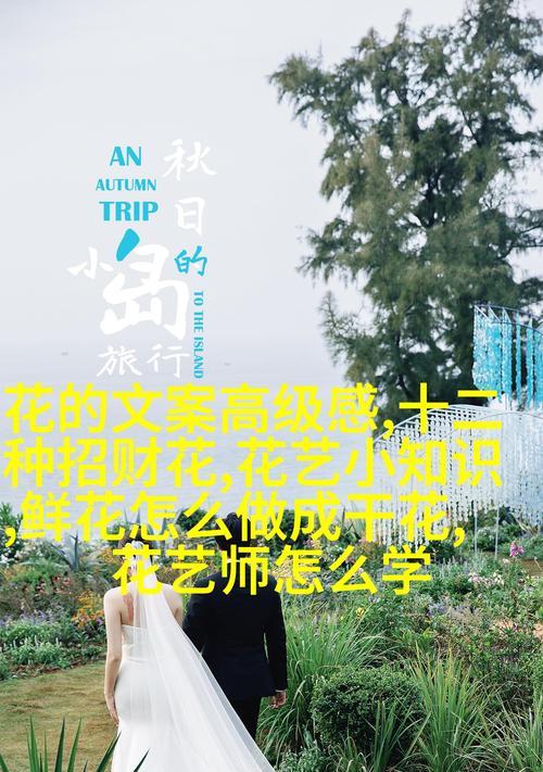哪些花卉象征中华文化？它们的花语是什么？