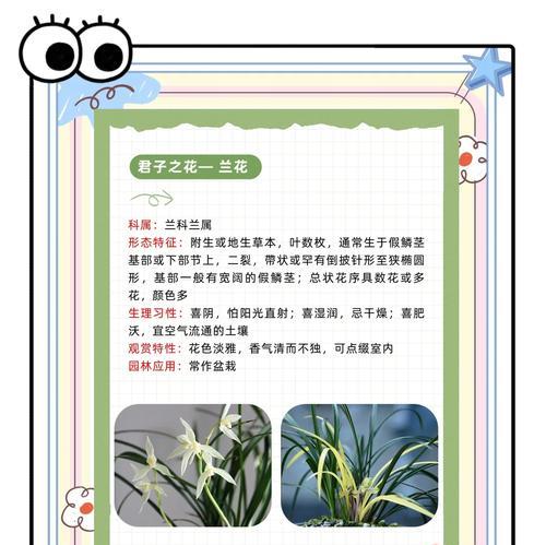 哪些花卉象征中华文化？它们的花语是什么？