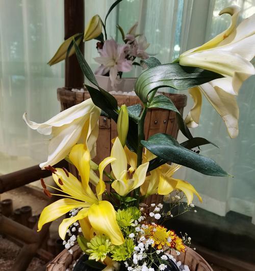 百合花颜色不同代表什么？花语和寓意有何区别？