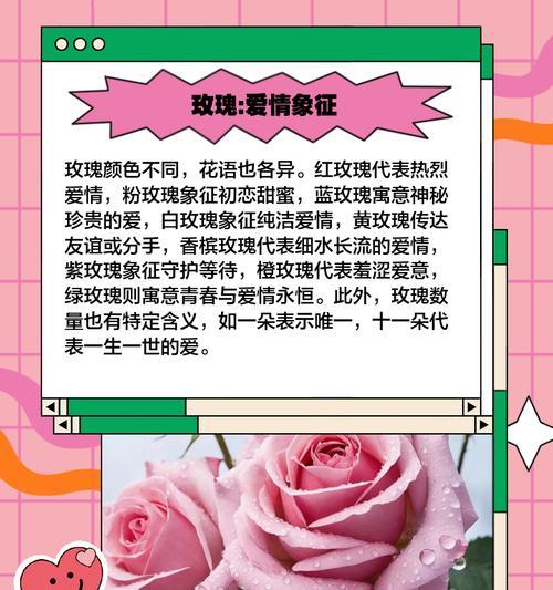 情节花语是什么意思？如何表达情感的花语？
