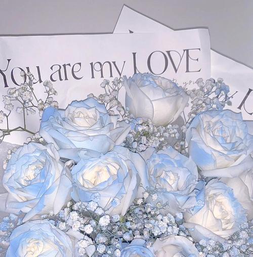 情节花语是什么意思？如何表达情感的花语？