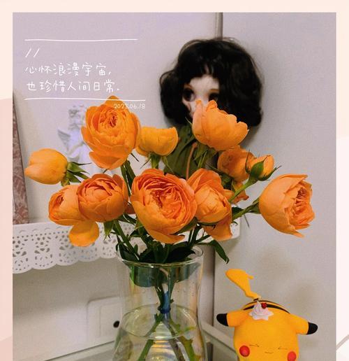 橙色小玫瑰的花语是什么？