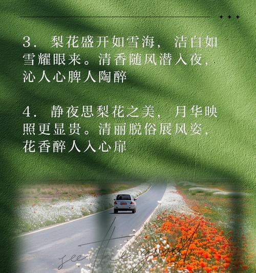 梨花节应景花语是什么？梨花的文化内涵有哪些？