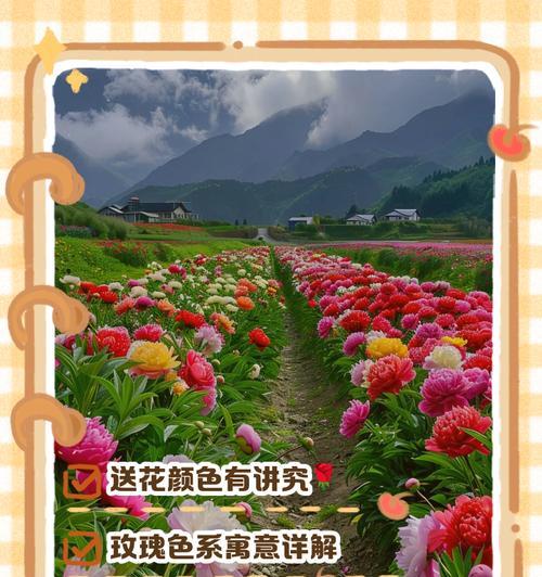 不同颜色的花都有哪些象征意义？花色与寓意之间的联系是什么？