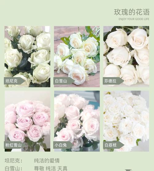 不同颜色的花都有哪些象征意义？花色与寓意之间的联系是什么？