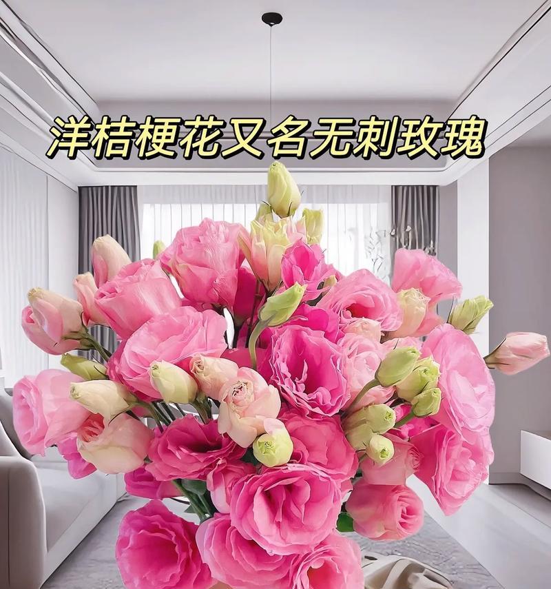 粉色桔梗花的花语是什么？粉色桔梗花寓意着什么？