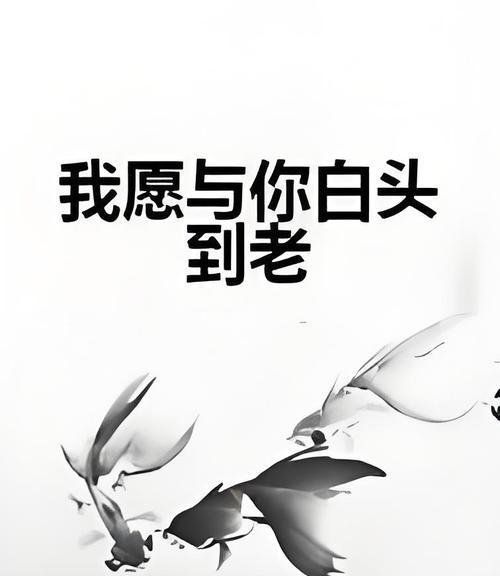 哪种花象征爱情白头到老？