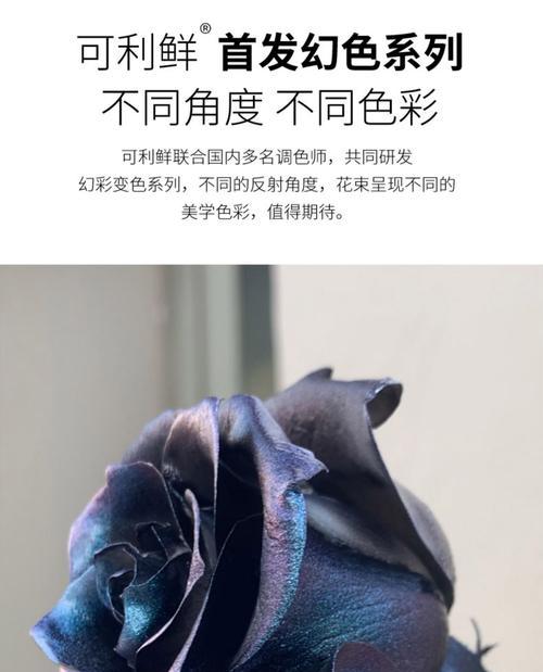 乌梅子酱花是什么颜色？它的寓意是什么？