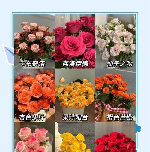 哪种花的含义最浪漫？它们的花语是什么？