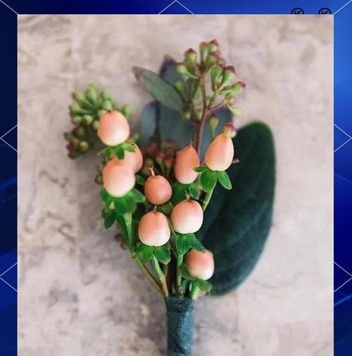 手捧花中玫瑰和红豆代表什么？它们的象征意义是什么？