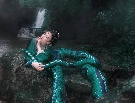 花蟒象征着什么？它的传说有哪些？