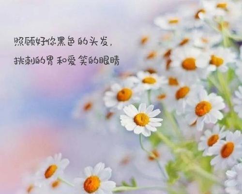 平安顺遂的花语代表什么？