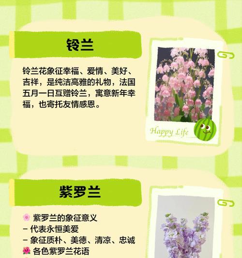 什么颜色的花的含义是什么？颜色与花语的关联？