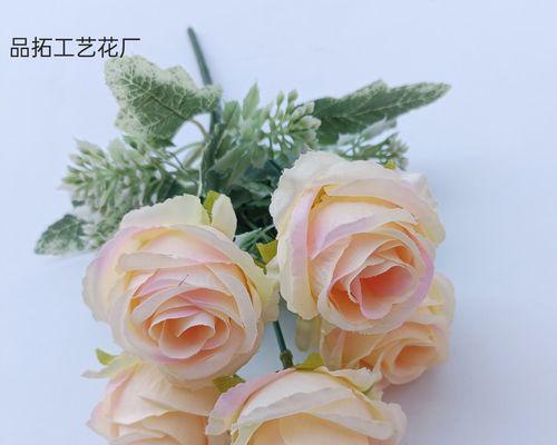 五朵香槟色玫瑰代表什么？香槟色玫瑰花的寓意是什么？