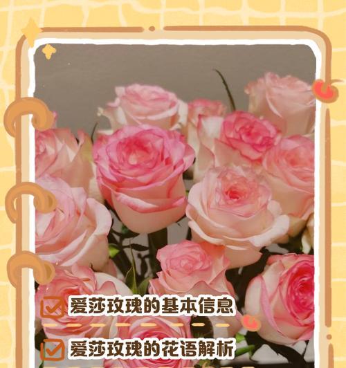 玫粉色花束花语是什么？它在送礼时有何特别意义？