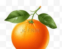 橙色老虎花象征着什么？