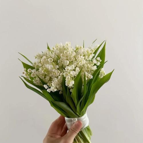 幸福捧花的寓意和象征是什么？