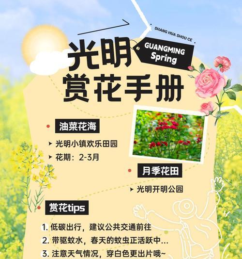 花展对花文化传承的意义是什么？花展如何促进文化认知？